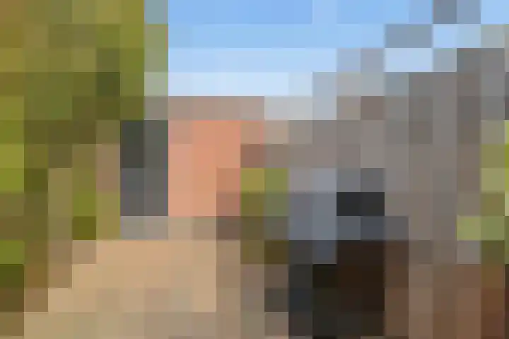 Kamgras 33 Houten thumbnail 26