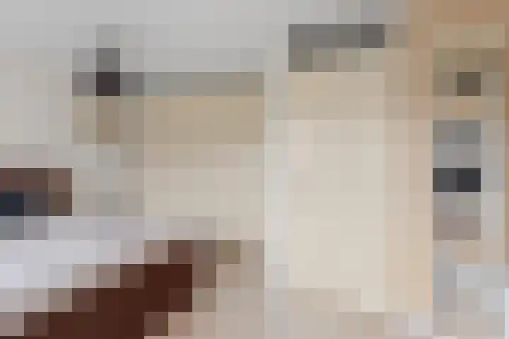 Kamgras 33 Houten thumbnail 30