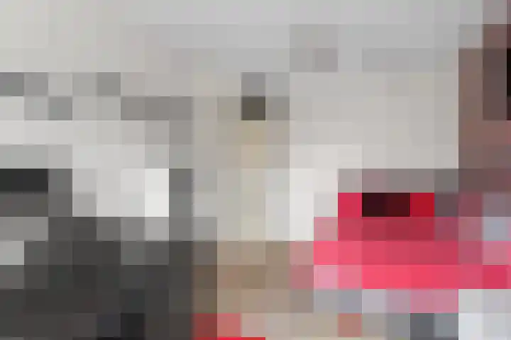 Kamgras 33 Houten thumbnail 33