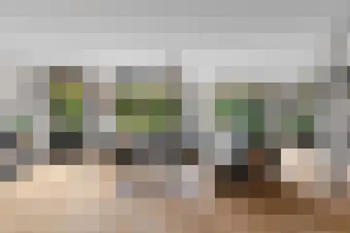 Kamgras 33 Houten thumbnail 4