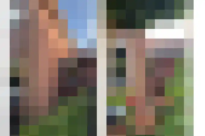Kamgras 33 Houten thumbnail 46