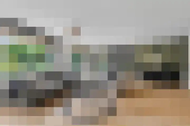 Kamgras 33 Houten thumbnail 5