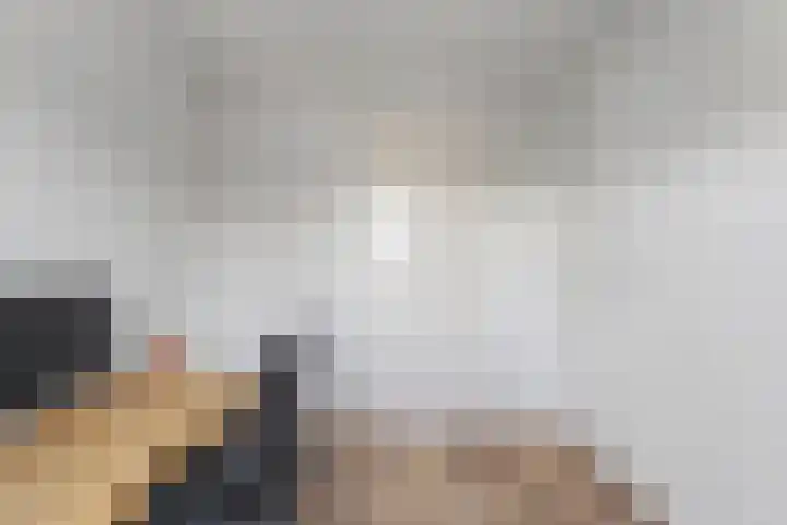 Kamgras 33 Meppel thumbnail 29
