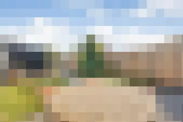 Kamgras 33 Meppel thumbnail 38