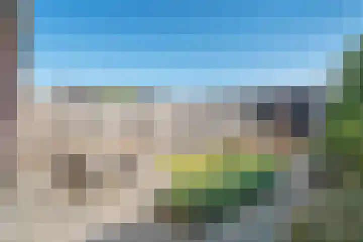 Kamgras 33 Meppel thumbnail 39