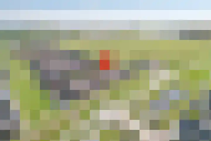 Kamgras 33 Meppel thumbnail 4