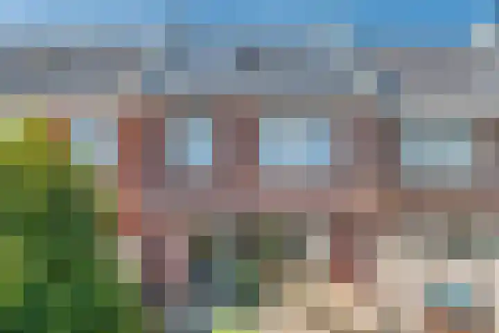 Kamgras 33 Meppel thumbnail 41
