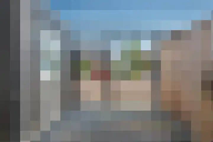 Kamgras 33 Meppel thumbnail 42