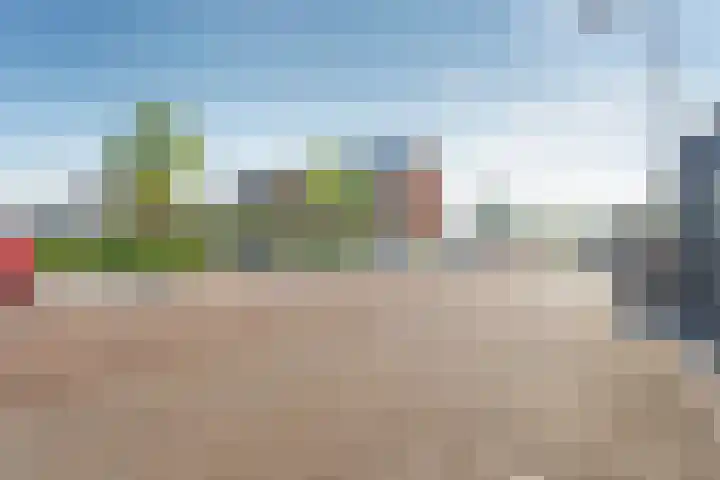 Kamgras 33 Meppel thumbnail 43
