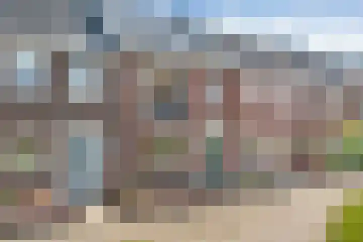 Kamgras 33 Meppel thumbnail 46