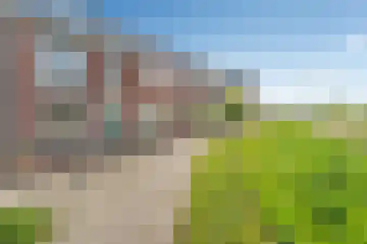 Kamgras 33 Meppel thumbnail 47