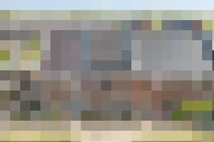 Kamgras 33 Meppel thumbnail 5