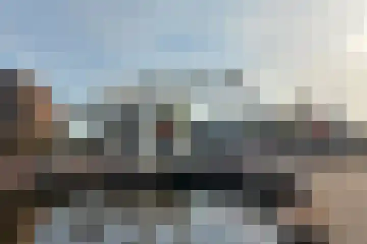 Kamgras 33 Meppel thumbnail 51