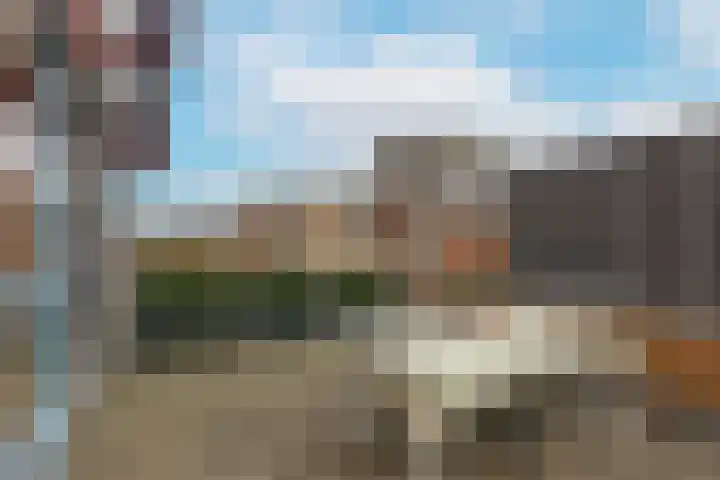 Kamgras 38 Wognum thumbnail 13