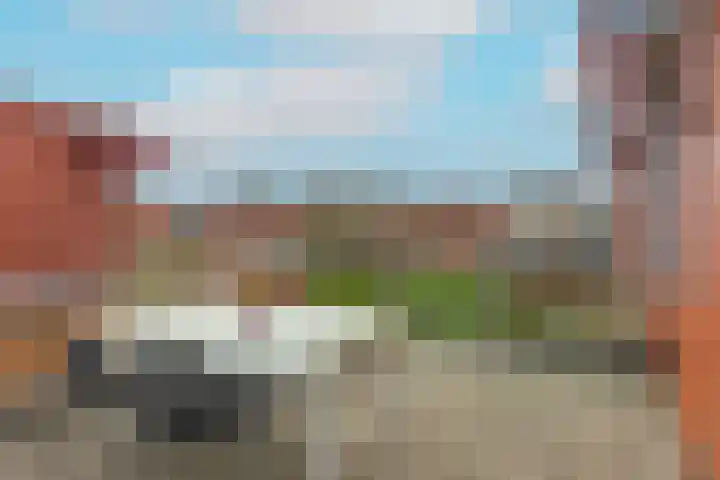 Kamgras 38 Wognum thumbnail 14