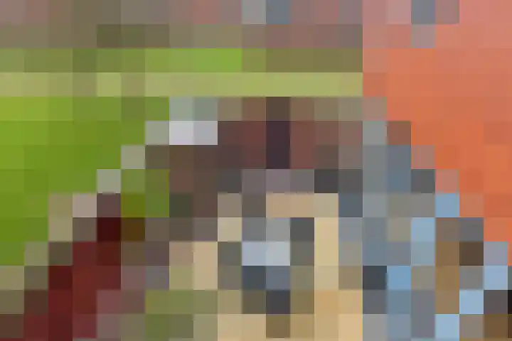 Kamgras 38 Wognum thumbnail 25