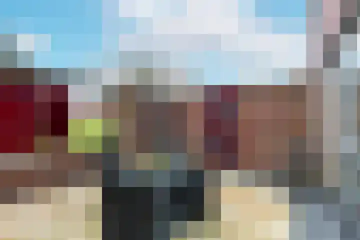 Kamgras 38 Wognum thumbnail 26