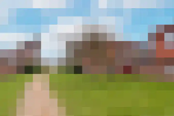 Kamgras 38 Wognum thumbnail 29
