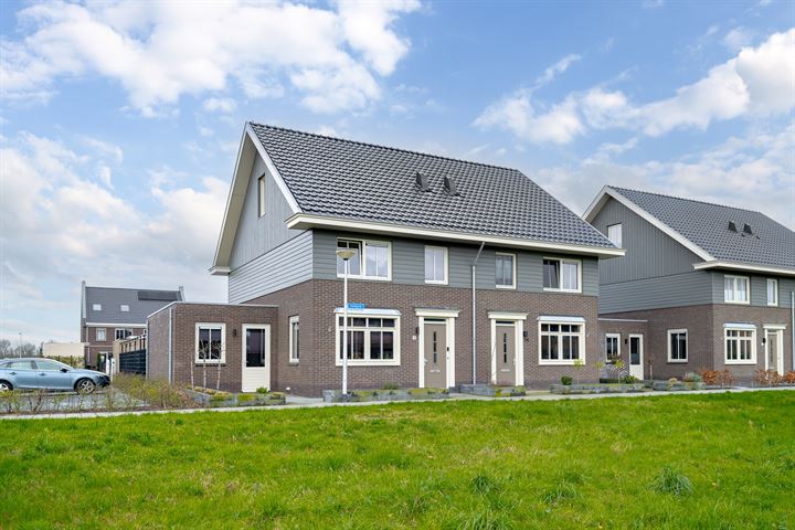 Kamgras 9 in Meppel foto