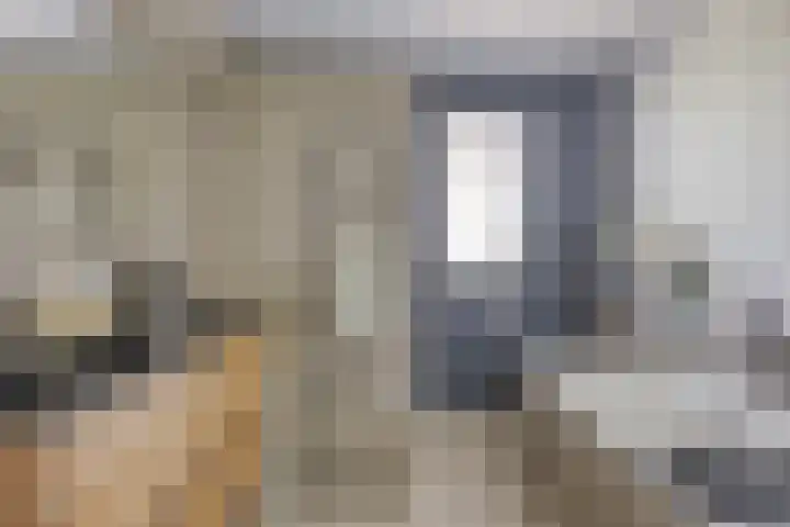 Kamille 12 Boxmeer thumbnail 24