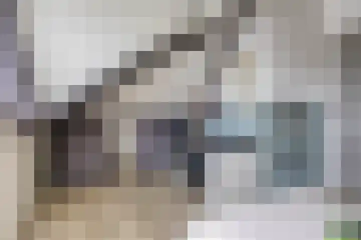 Kamille 12 Boxmeer thumbnail 28