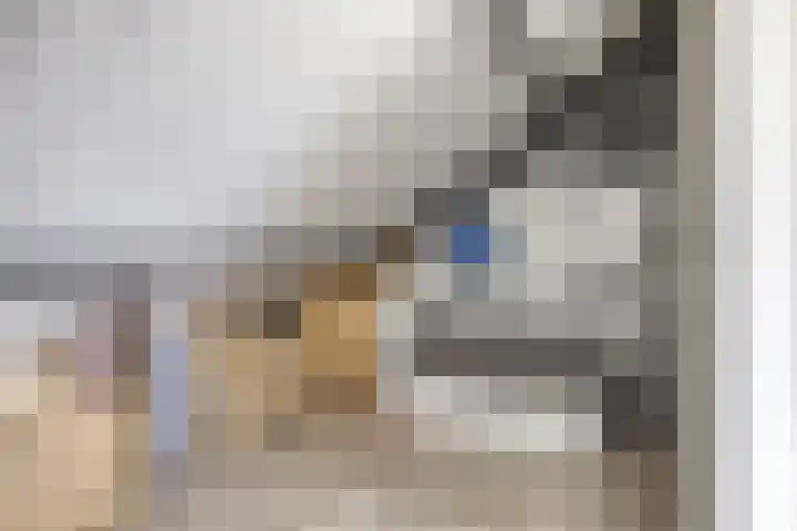 Kamille 12 Boxmeer thumbnail 29
