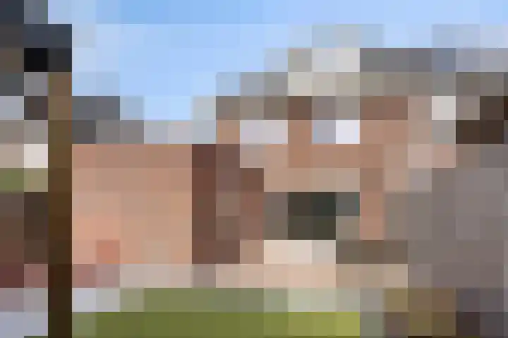 Kamille 12 Boxmeer thumbnail 30