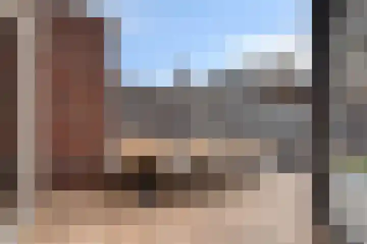 Kamille 12 Boxmeer thumbnail 32