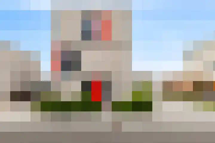 Kamille 12 Lelystad thumbnail 4