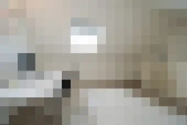 Kamille 13 Drachten thumbnail 31