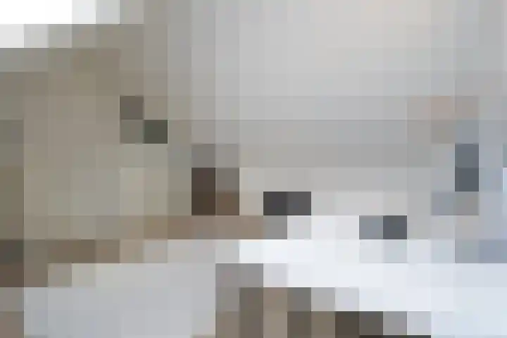 Kamille 13 Drachten thumbnail 32