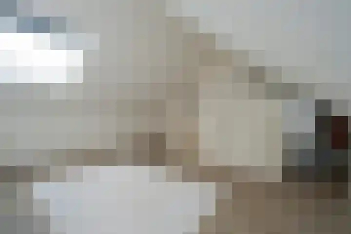 Kamille 13 Drachten thumbnail 33