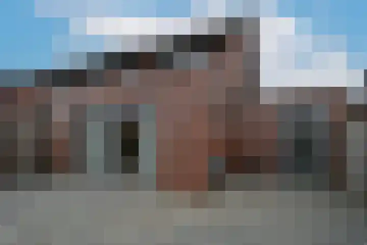 Kamille 13 Drachten thumbnail 36
