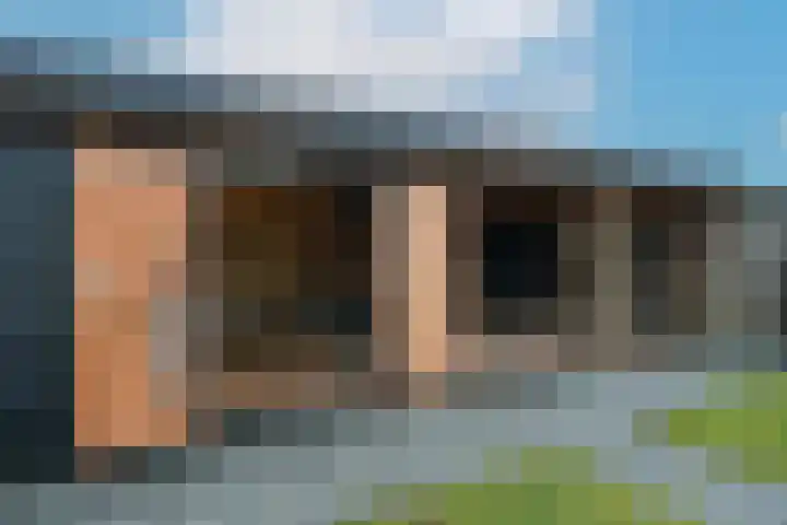 Kamille 13 Drachten thumbnail 39
