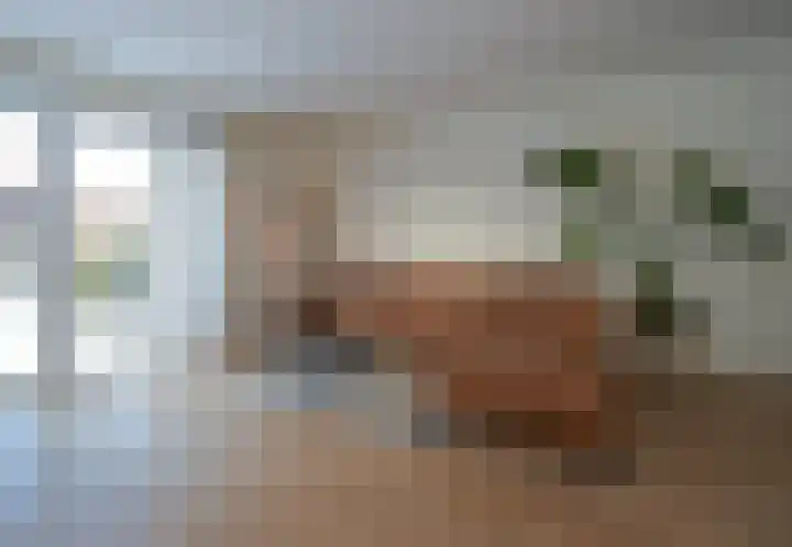 Kamille 13 Drachten thumbnail 9