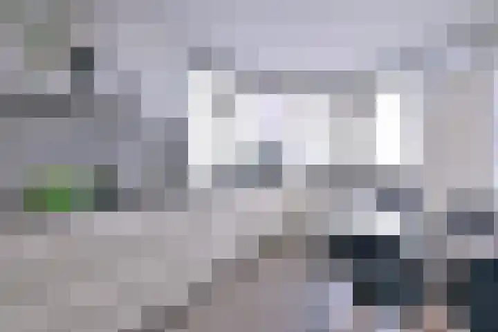 Kamille 15 Deventer thumbnail 13