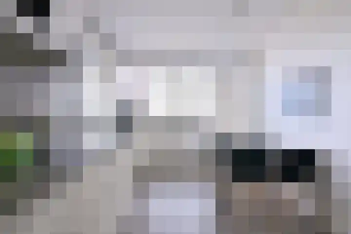 Kamille 15 Deventer thumbnail 14