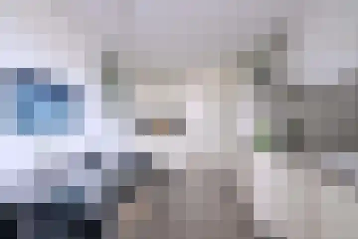 Kamille 15 Deventer thumbnail 15