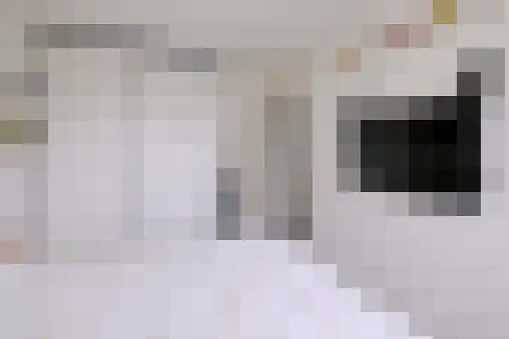 Kamille 15 Deventer thumbnail 21