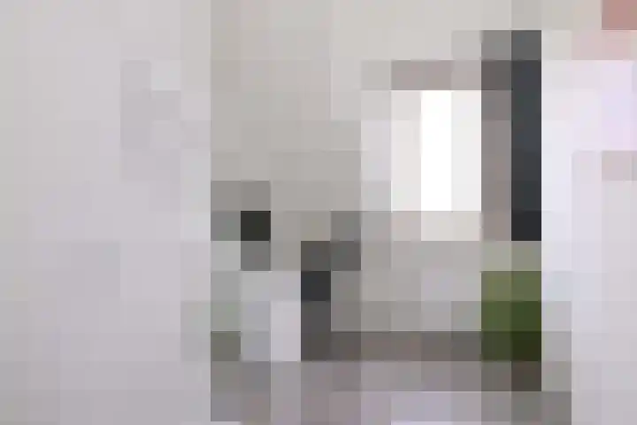 Kamille 15 Deventer thumbnail 26