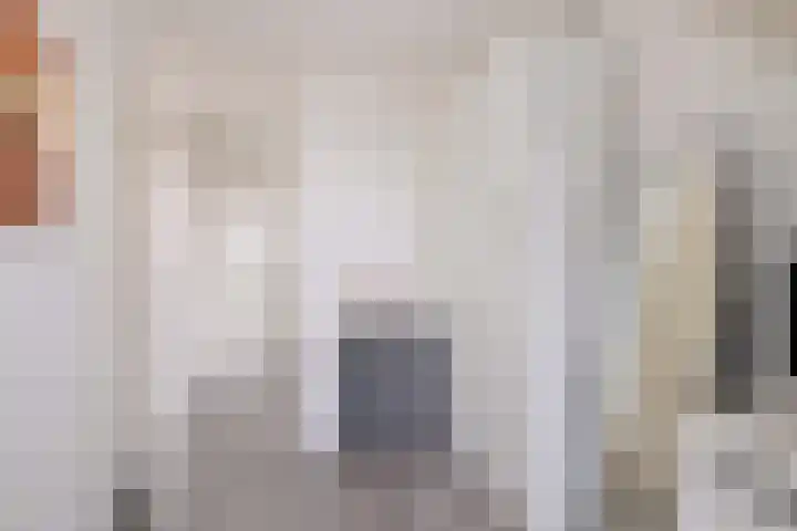 Kamille 15 Deventer thumbnail 27