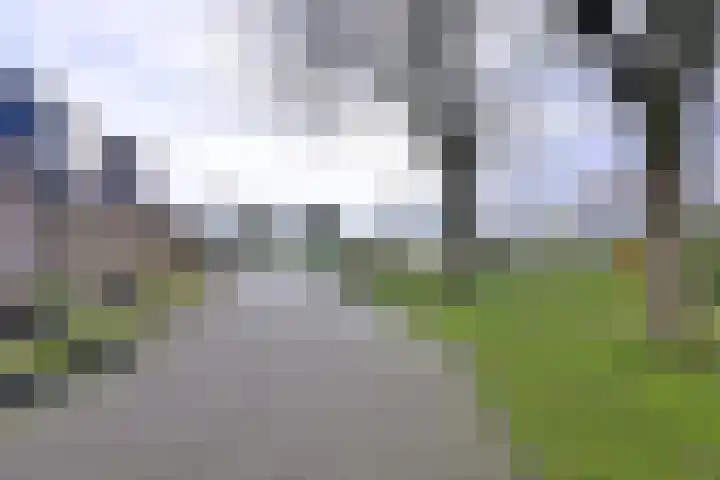 Kamille 15 Deventer thumbnail 40