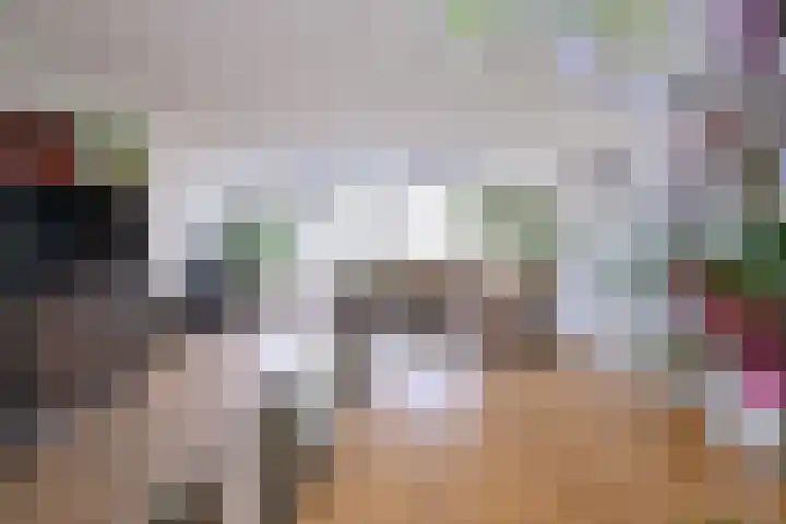 Kamille 15 Deventer thumbnail 5