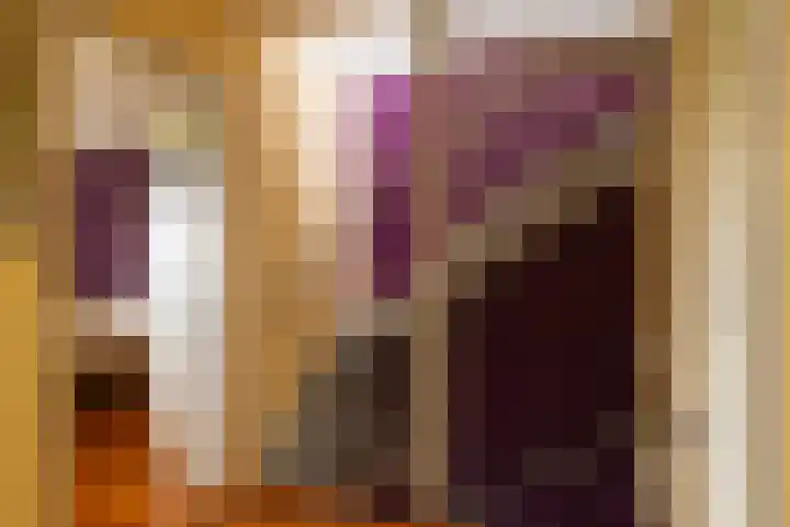 Kamille 15 Sprang-Capelle thumbnail 16