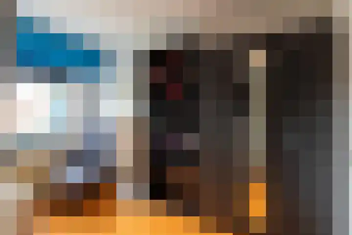 Kamille 15 Sprang-Capelle thumbnail 21
