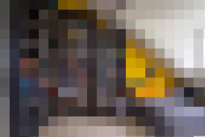 Kamille 15 Sprang-Capelle thumbnail 26