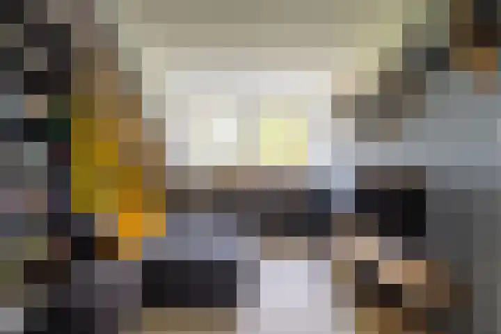 Kamille 15 Sprang-Capelle thumbnail 27