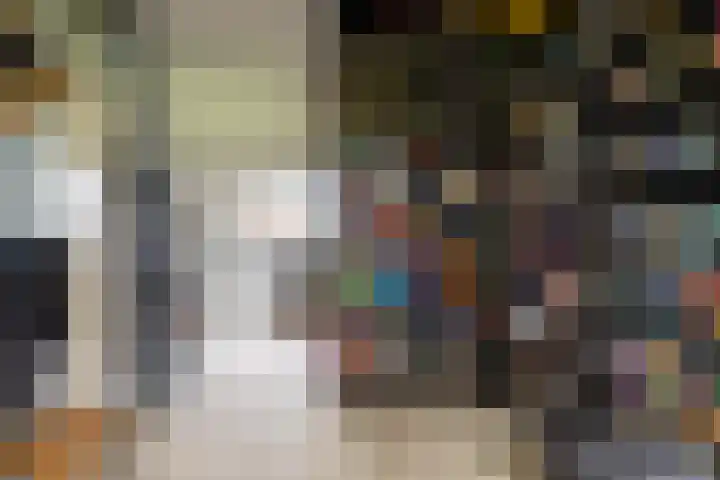 Kamille 15 Sprang-Capelle thumbnail 28