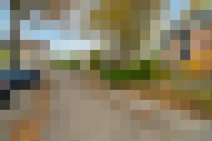 Kamille 15 Sprang-Capelle thumbnail 7