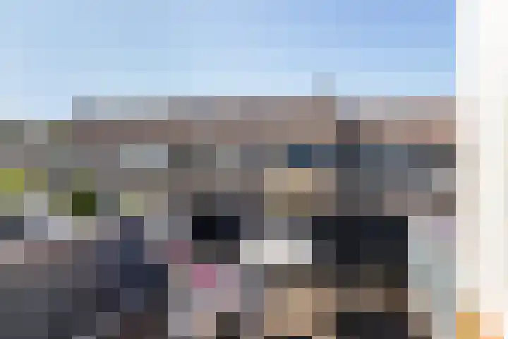 Kamille 21 Reeuwijk thumbnail 28